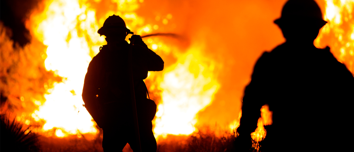 Firefighters working a wildfire