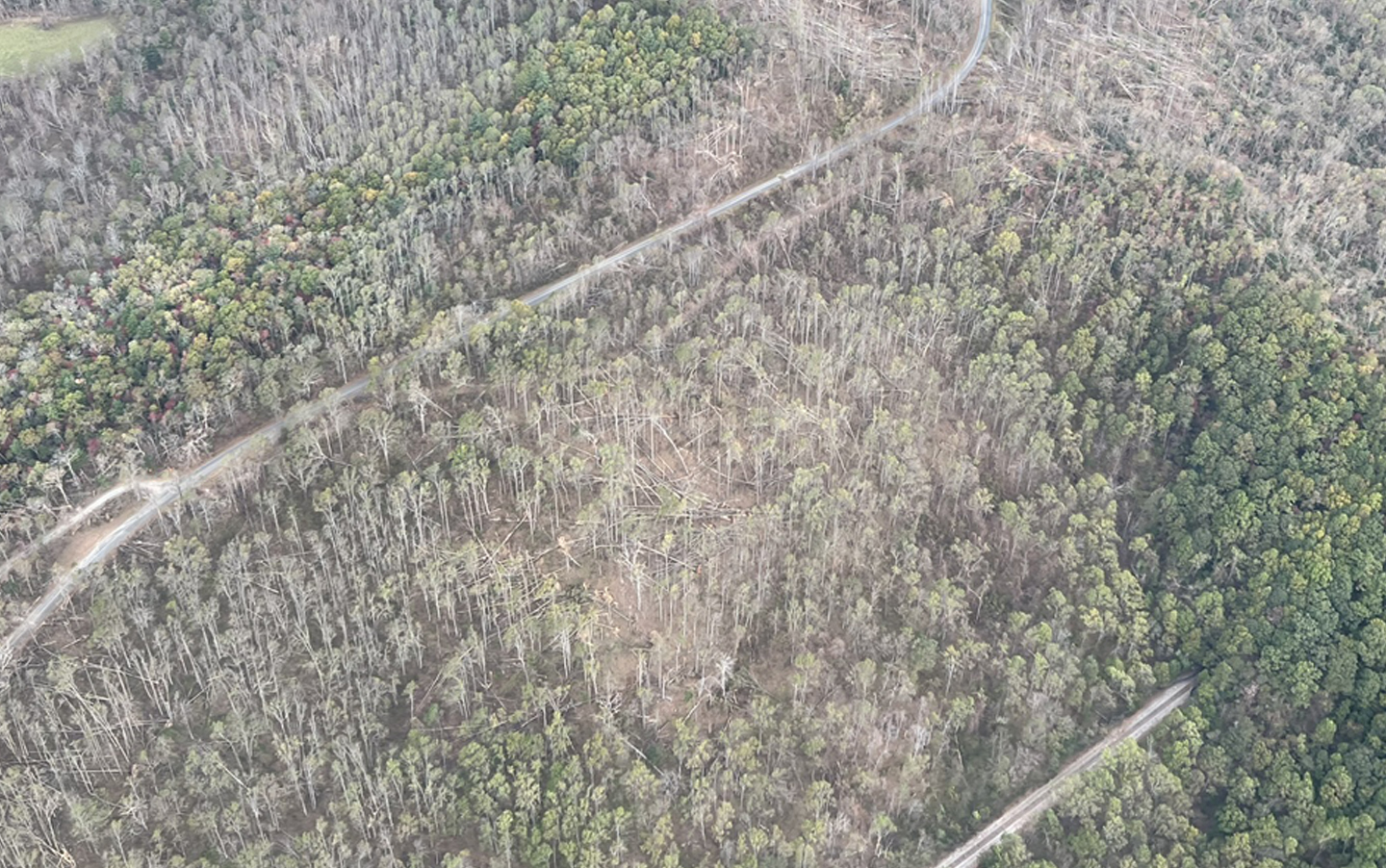 Aeriel survey of timber damage from Hurricane Helene