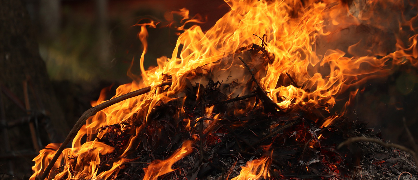 Close-up of natural vegetation burning