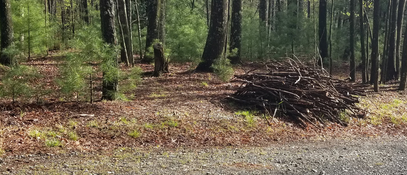 Debris pile by the side of the road