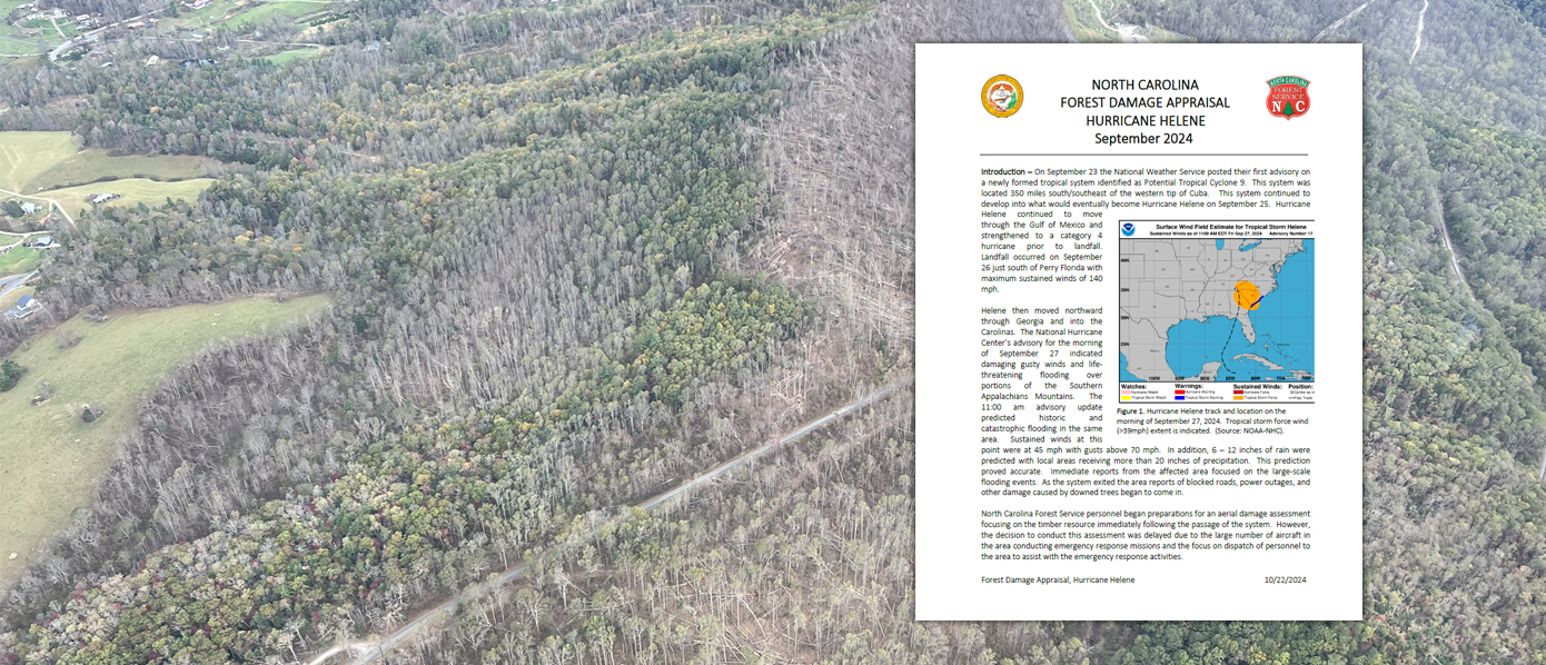 Report thumbnail over an aerial image of damaged timber from Hurricane Helene