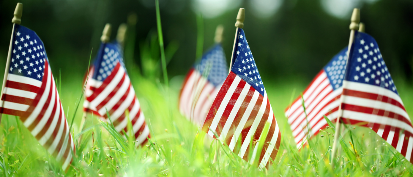 Tree seedlings and American flag