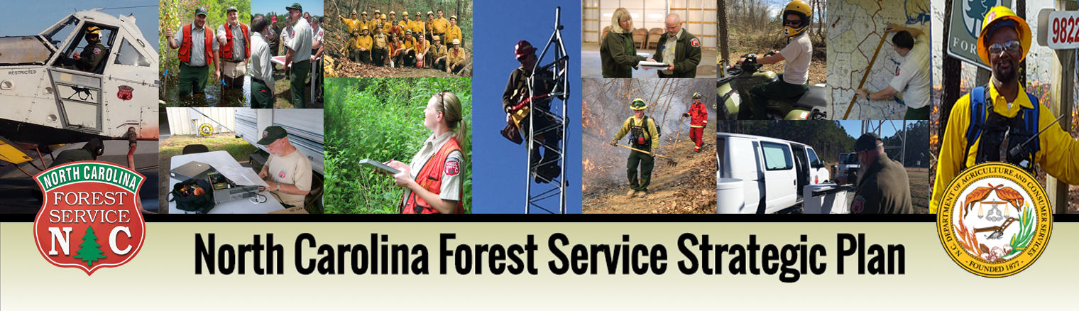 North Carolina Forest Service Strategic Plan Header